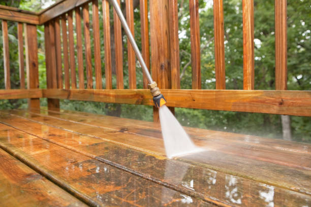 Best Gutter Cleaning  in Three Oaks, FL
